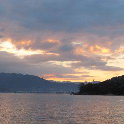 釣り初め　アジング